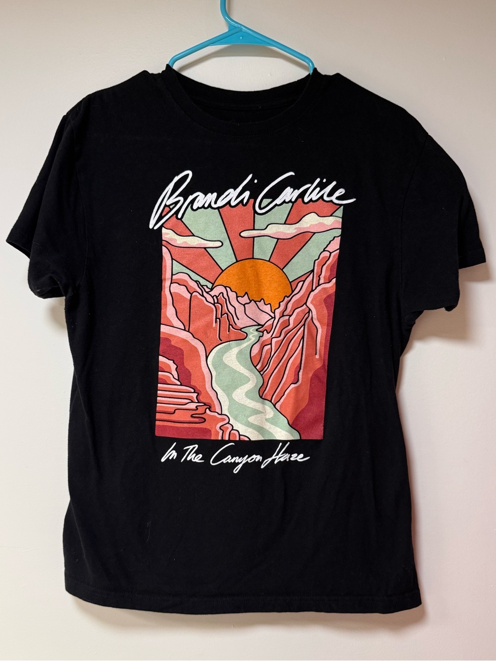 BRANDI CARLILE Black Graphic Short-Sleeve Concert Tee In The Canyon Haze L